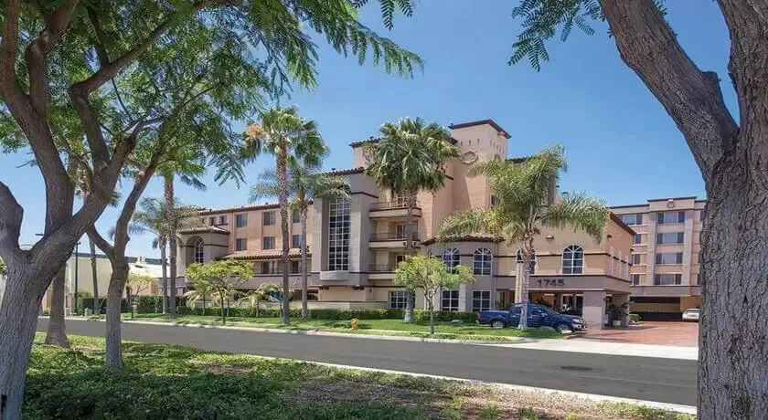 (Peacock Suites) Similar