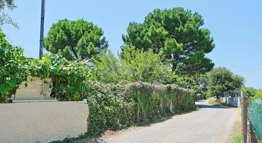 (Residence Dalia) Similar